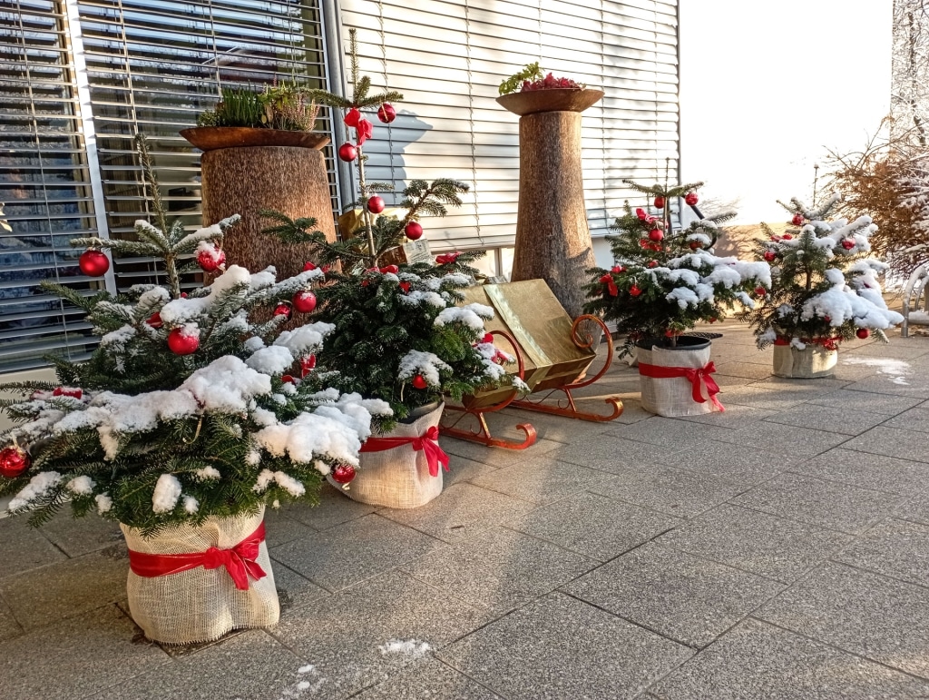 Thermalhotel Fontana | Christbäume mit roten Kugeln und Schnee und Weihnachtsdekoration